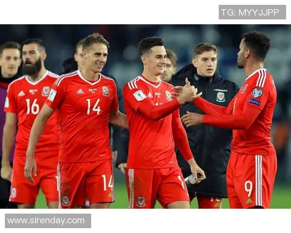 格鲁吉亚足球明星的崛起与他们在国际赛场上的影响力探讨